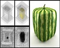 DNA nano-foundries cast custom-shaped metal nanoparticles