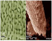 High Quality Three-Dimensional Nanoporous Graphene