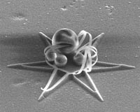 3D printer helps scientists scale up nanostructures