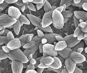 Nanotech Yields Major Advance In Heat Transfer And Cooling Technologies