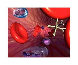 New technology gives 3-D views of arteries