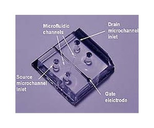 Paper-and-scissors technique rocks the nano world