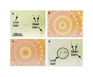 New tool may yield smaller and faster optoelectronics