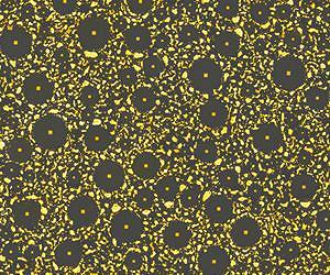 Solved: The Mystery of the Nanoscale Crop Circles