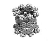 Chemical synthesis of nanotubes