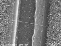 Silicon Nanowires Upgrade Data-Storage Technology