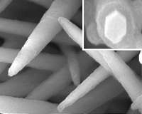 Hybrid nanomaterials bristle with potential