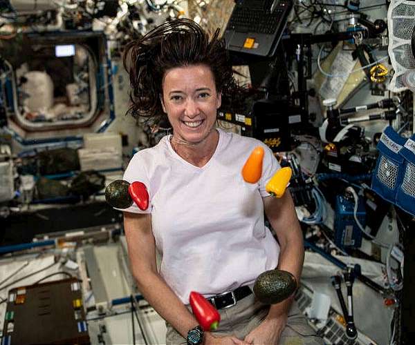 NASA announces winners of Deep Space Food Challenge