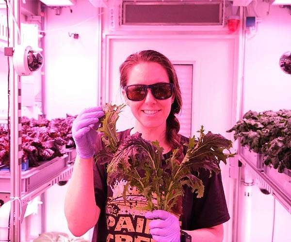 Start of a new series of tests for plant cultivation on the Moon and Mars