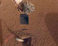 Mars InSight Lander to push on top of the 'Mole'