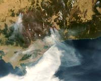 Milder weather helps Australian firefighters: officials