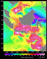 QuikScat Shows Rough Seas And Atmospheric Conditions At Time Of Two Java Sea Disasters