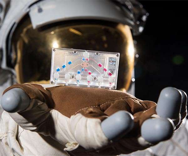 Crew-2 set for ISS Mission to conduct microgravity science