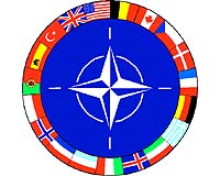 NATO chief warns of challenges after 'black year'