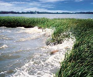 Sea-level rise to drive coastal flooding, regardless of changes in hurricane activity