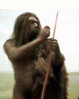 Go East old man: Neanderthals reached China's doorstep