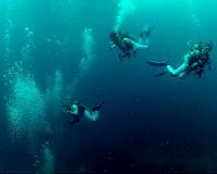 Return to the blue