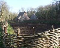 Earlier humans used dried fungi as tinder for fires during the Neolithic period