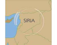 US, Russian military chiefs to meet on Syria
