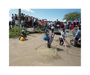 Hope fades for Nepal flood victims, toll may hit 60