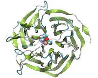UT, ORNL Scientists' Discoveries Could Help Neutralize Chemical Weapons