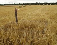 Citizen science helps protect nests of a raptor in farmland