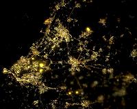 Dutch gas field hit by 3.4 quake, largest since 2012
