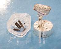 Neutrons detect elusive Higgs amplitude mode in quantum material