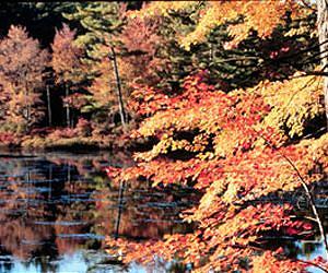Indirect effects of climate change could alter landscapes