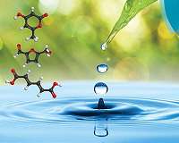 Biotech breakthrough turns waste biomass into high value chemicals