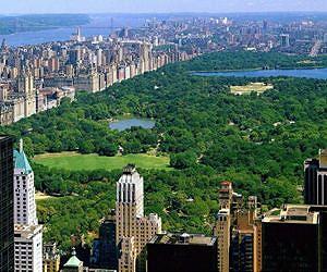 Water evaporated from trees cools global climate
