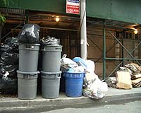 'Bin brother' tagging Australian rubbish