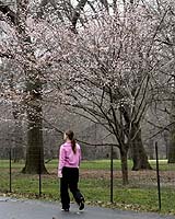 Balmy Weather Hits US Northeast