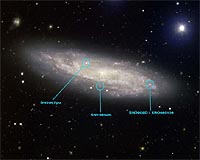 Catching The Light Of A Baby Supernova