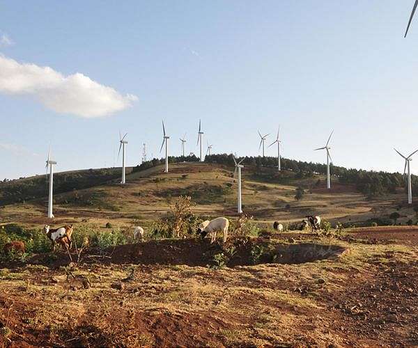 From Kenya to COP26, the teen battling 'global disaster'