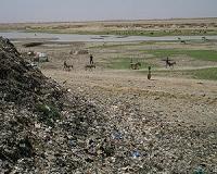 Niger says 2.5 million suffering food insecurity