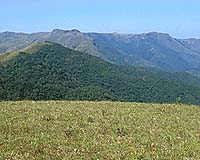 Record Land Grab Feared In Poor Forested Countries
