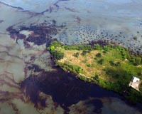 Shell starts new work in Nigeria's Niger Delta