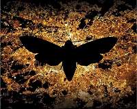 A new threat to pollination : the dark side of artificial light
