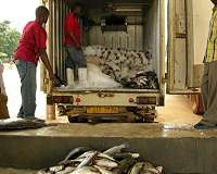 Lake harvests are likely more fruitful than we knew