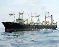 Japanese whalers set sail: Greenpeace