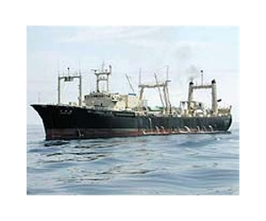 Japanese whalers hand over Australian activists