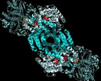 Early life on Earth limited by enzyme