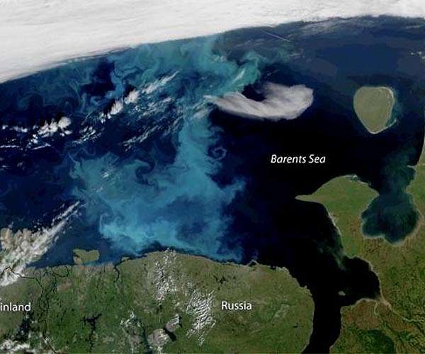 Global network of undersea robots unveils hidden depths of phytoplankton biomass