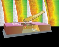 Team explores nanoscale objects with microwave microscopy