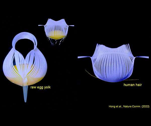 Kirigami robotic grippers are delicate enough to lift egg yolks