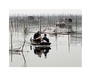 New index measures impact of fish farming on environment