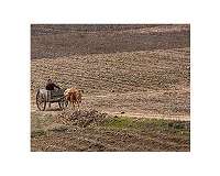 North Korea seeing worst drought in a century: state media