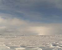 British North Pole team on half rations in bad weather