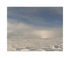 Canada to claim North Pole: minister